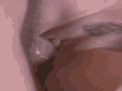 8 sex anh dong (wApsexviet.wAp.sh)